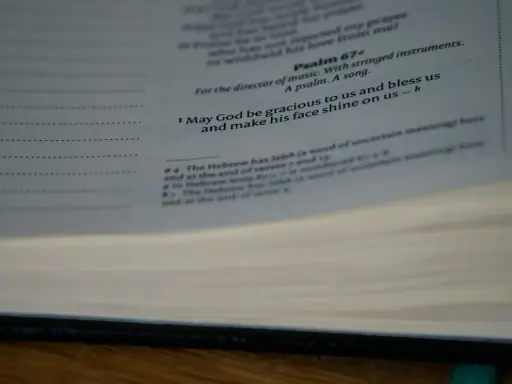 Підготовка позовної заяви у адміністративній/господарській справі, яку віднесено до малозначаної справи одна позовна вимога